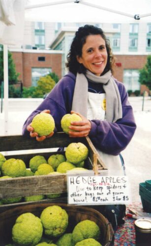 How to Organize a Farmer's Market
